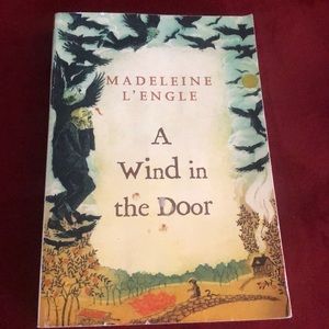 A wind in the door